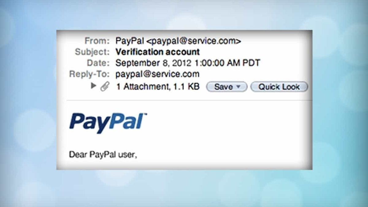 Fake PayPal Verification Scam Detector