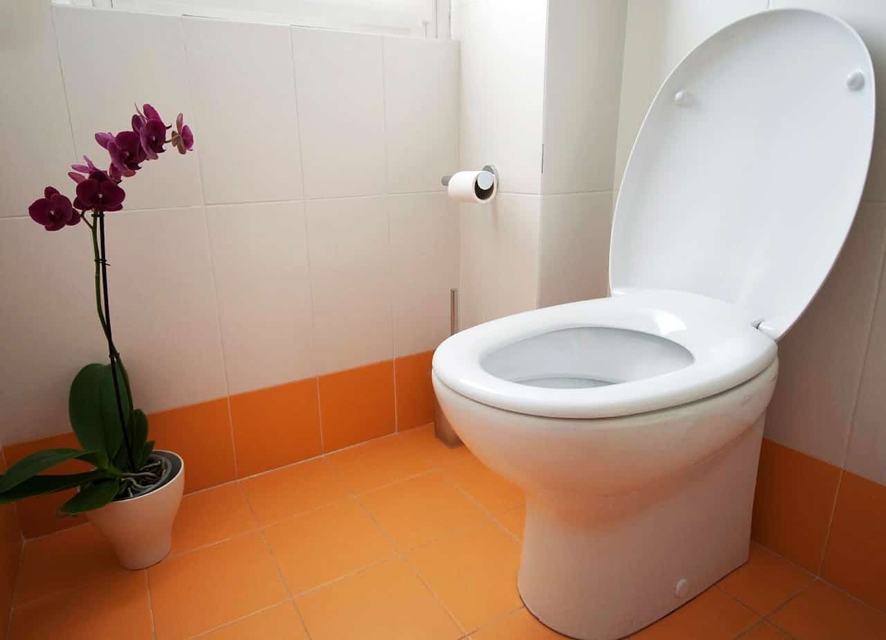 the-dual-flush-toilet-installation-aka-the-low-flow-toilets-rebate-scam