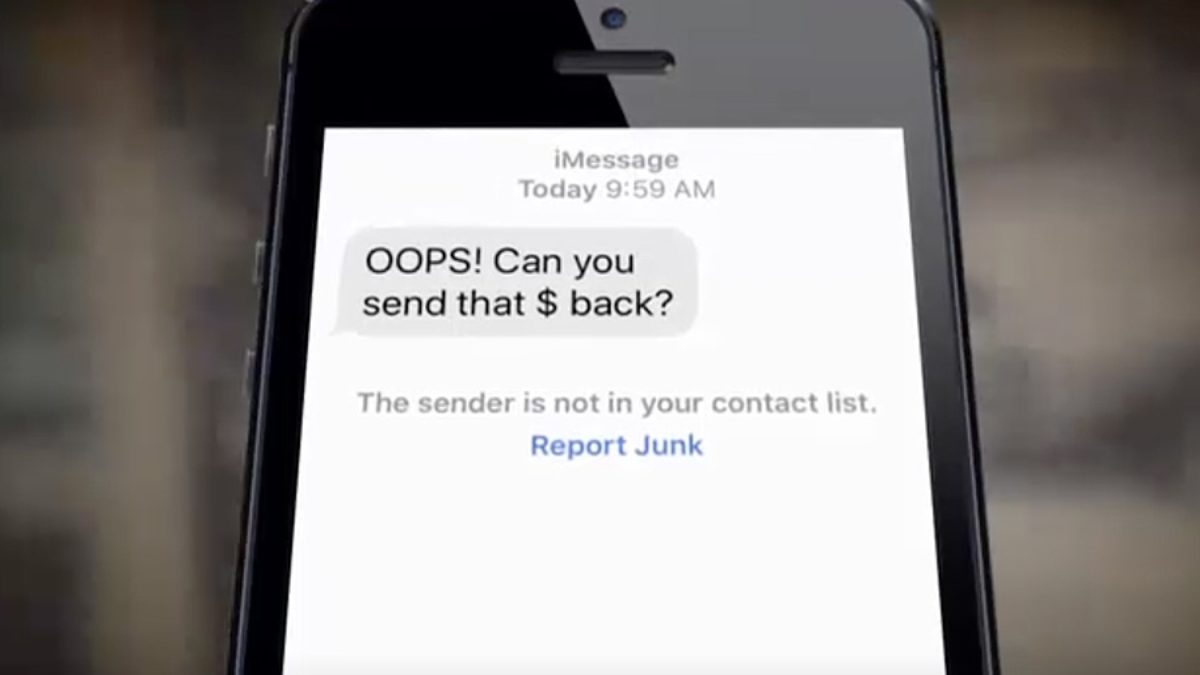 Money Sent on Venmo Accidentally - Scam Detector
