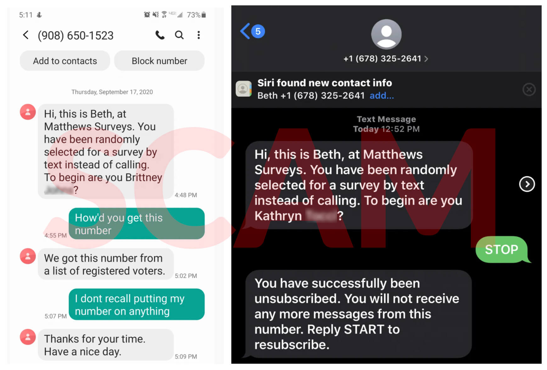 matthews surveys scam