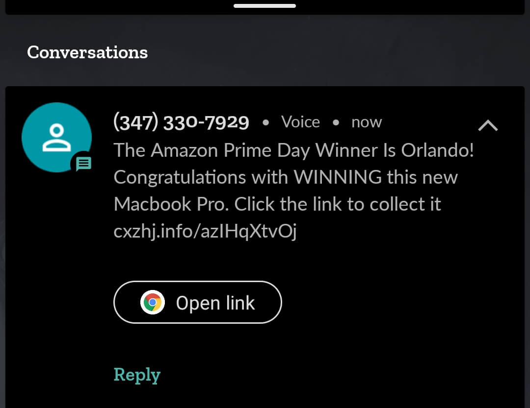 amazon prime day winner text