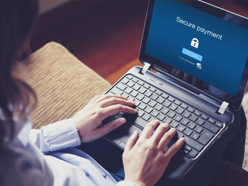 Fraudulent Online Transactions
