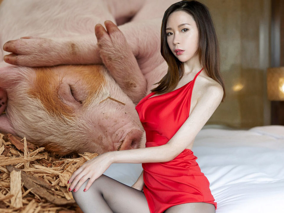 pig butchering scam