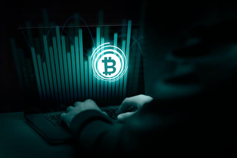 Is XAI315K a Scam – Fake Elon Musk Crypto Token 2